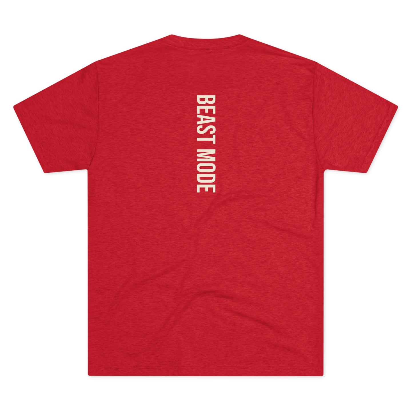 Beast Mode Series - Train Like a Beast, Rise Like a King - Triblend T-shirt